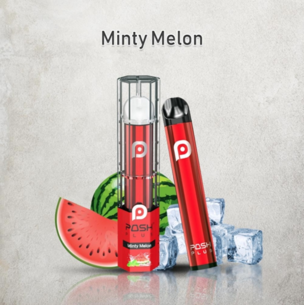 Minty Melon Posh Plus Disposable Vape for Sale