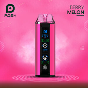 Posh Plus 2 0 Berry Melon – 20000 Puffs Vape
