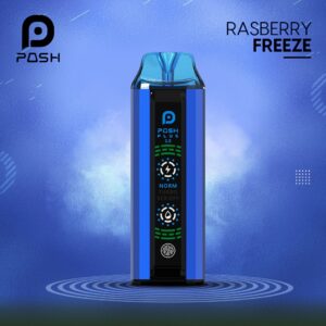 Posh Plus 2 0 Raspberry Freeze – 20000 Puffs Vape